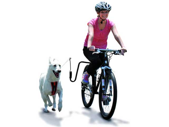 Springer Bike Leash for Higher Energy Dogs