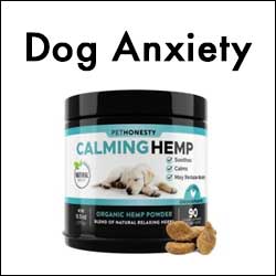 Dog Anxiety Care