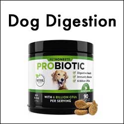 Dog Digestive Care