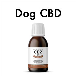 CB2™ DOG-EASE