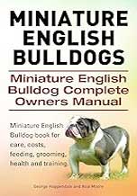 Miniature English Bulldog