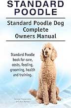 Standard Poodle