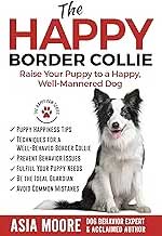 The Happy Border Collie