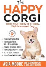 The Happy Corgi