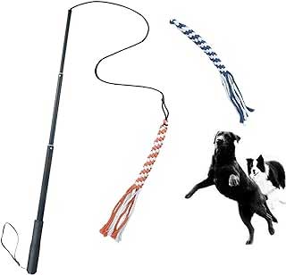 ASOCEA Dog Extendable Teaser Wand Pet Flirt Stick Pole