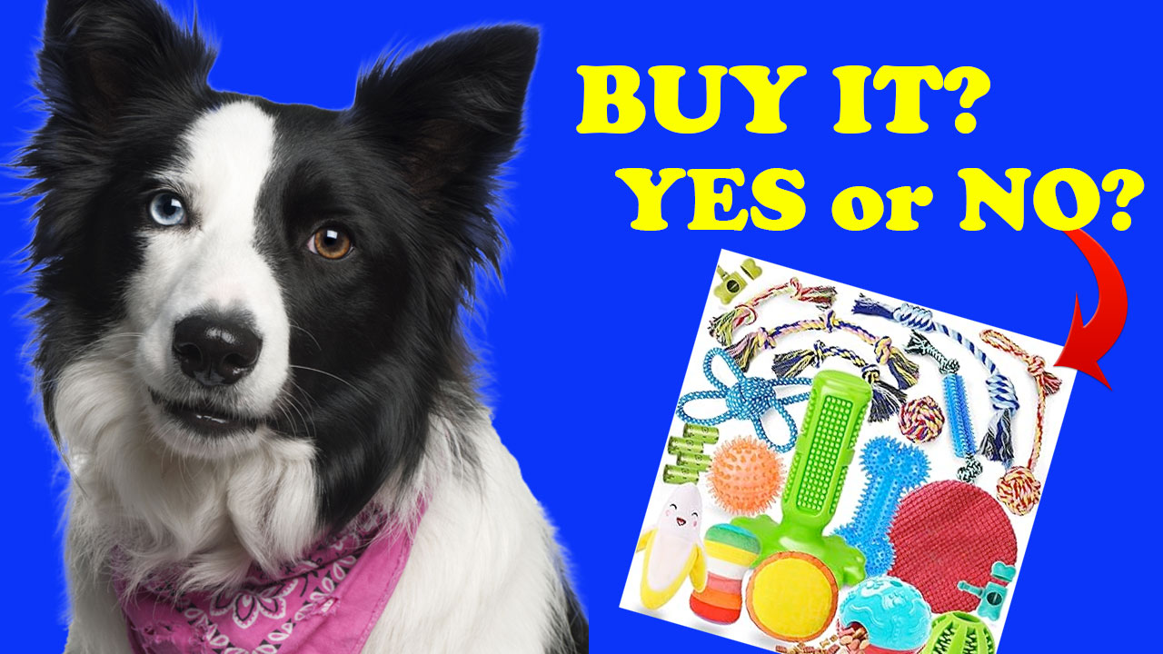 Dog Toys - buy them or not?