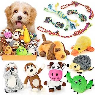 LEGEND SANDY Dog Squeaky Toys for Small Dogs, 12 Pack Puppy Toys