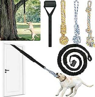 Dog Bungee Toy, Dog Rope Tug War Toy for Pitbull Small Medium Large Dogs