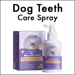 Dog Teeth Oral Care Spray