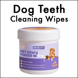 Dog Teeth Cleaning Wipes