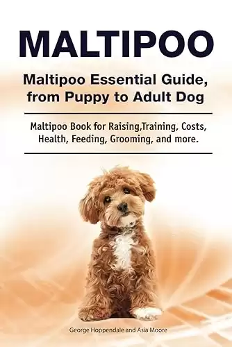 Maltipoo Essential Guide, from Puppy to Adult Dog Book for Raising, Training, Costs, Health, Feeding, Grooming, and more.