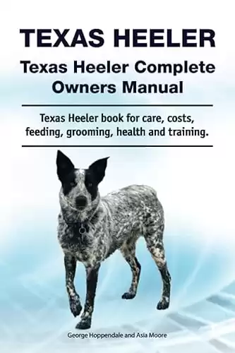 Texas Heeler Complete Owners Manual for care, costs, feeding, grooming, health and training.