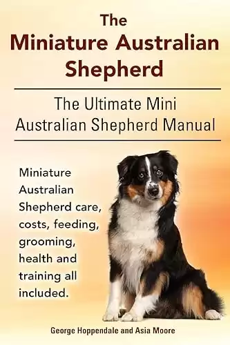 The Miniature Australian Shepherd. The Ultimate Mini Australian Shepherd Manual Miniature Australian Shepherd care, costs, feeding, grooming, health and training all included.