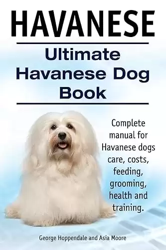 Havanese. Ultimate Havanese Book. Complete manual for Havanese dogs care, costs, feeding, grooming, health and training.