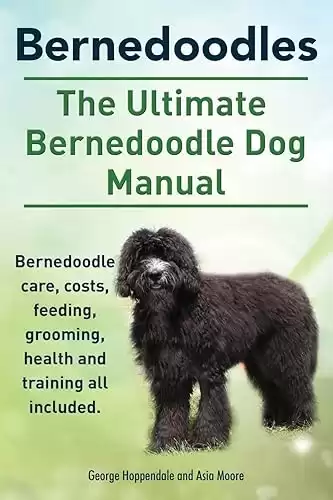 The Ultimate Bernedoodle Dog Manual for care, costs, feeding, grooming, health, and training all included.