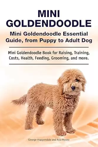 Mini Goldendoodle Essential Guide, from Puppy to Adult Dog. Mini for Raising, Training, Costs, Health, Feeding, Grooming, and more.