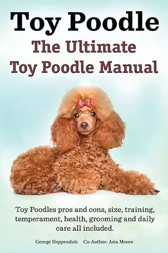 The Ultimate Toy Poodle Manual with pros and cons, size, training, temperament, health, grooming, daily care all included.