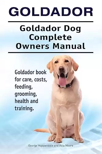 Goldador dog Owners Manual for costs, care, feeding, grooming, training, and health.