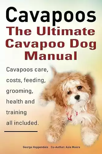 The Ultimate Cavapoos or Cavoodle or Cavadoodle Dog Manual for care, costs, feeding, grooming, health, and training.