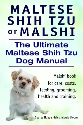 Maltese Shih Tzu or Dog Manual for care, costs, feeding, grooming, health and training.