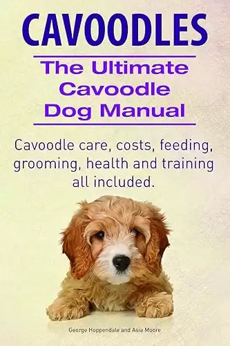 The Ultimate Cavoodle Dog Manual for care, costs, feeding, grooming, training, and health are all included.