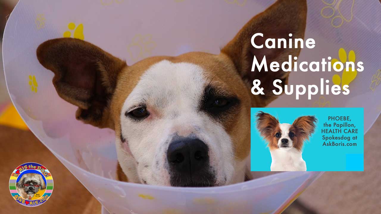 Canine Medications And Supplies Ask Boris the Dog