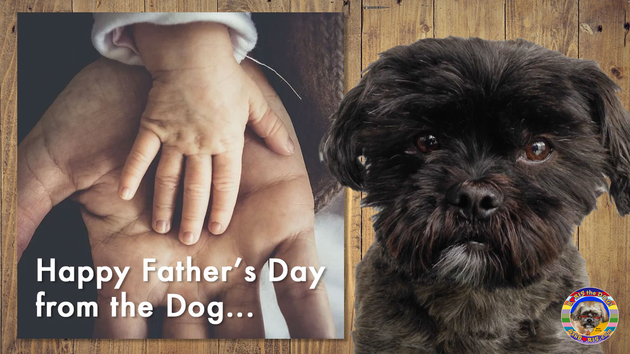 Happy Fathers Day Poem from the Dog at Ask Boris