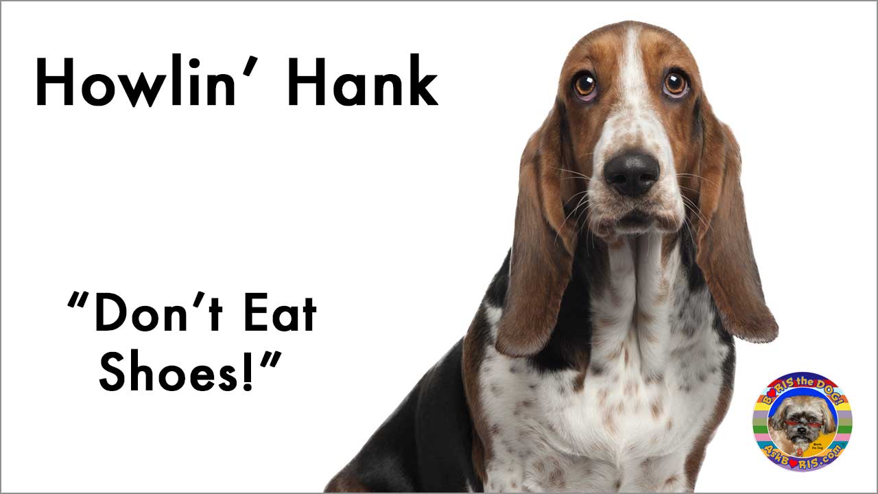 Howlin Hank singing Don't Eat Shoes