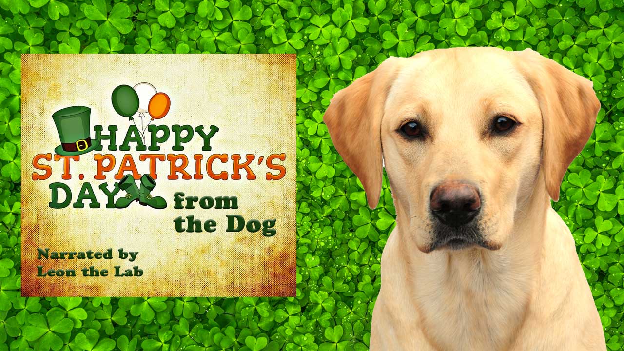 St Patrick's Day Poem from the Leon the Lab