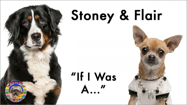 “If I Was A…” Singing Dog Video