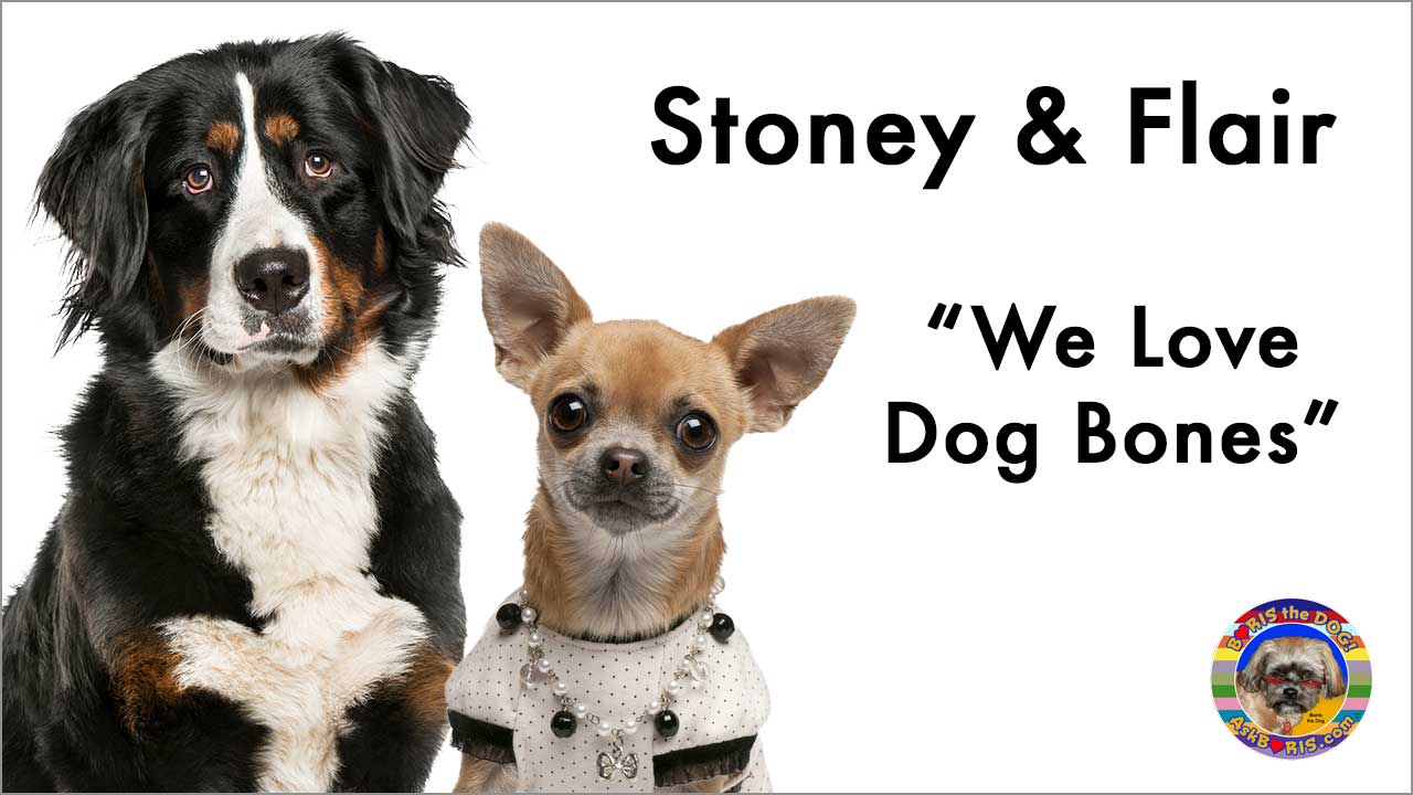 We Love Dog Bones by Stoney & Flair